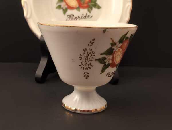 Florida Vintage Demitasse Teacup & Saucer: Oranges & Orange Blossoms