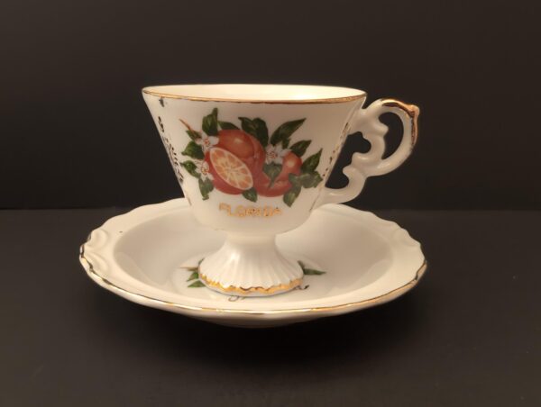 Florida Vintage Teacup Set: Oranges & Blossoms Demitasse Cup & Saucer